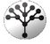 Go to Family Histories and Genealogy