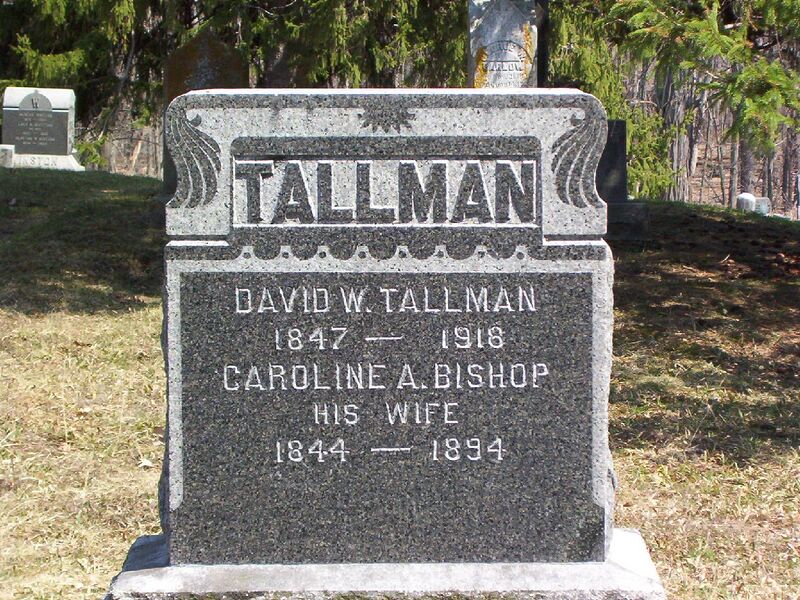 File:DavidWTallman4.jpg