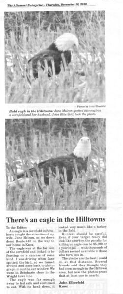File:20101216ElberfeldEagles.jpg
