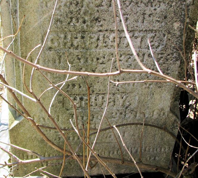 File:Grave-Thompsons Lake-Secor,Charlotte.jpg
