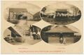 NY-Knox-1910-PC4YWSCCampAnnexWEB.jpg