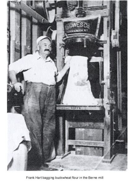 File:Bagging Buckwheat.jpg