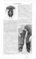 1869HarpersHelderbergs665.jpg