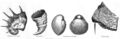 1869HarpersHelderbergs5.jpg