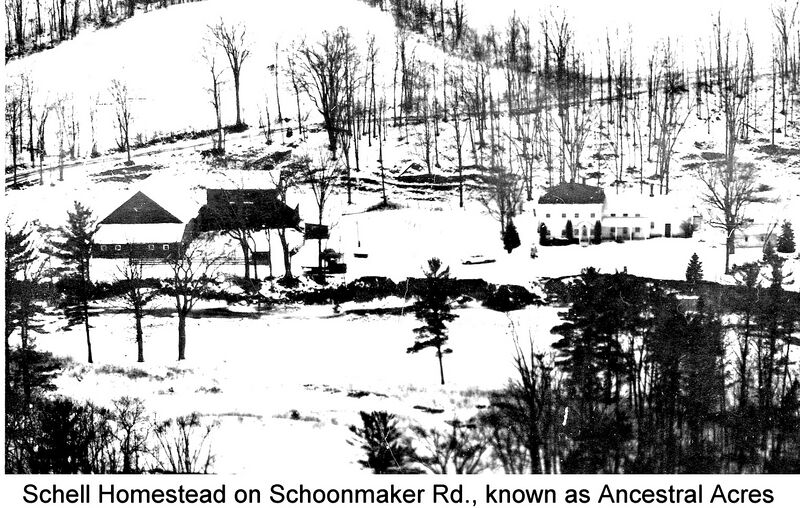 File:Schell 8.jpg