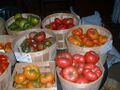 Heritage Tomatoes.jpg