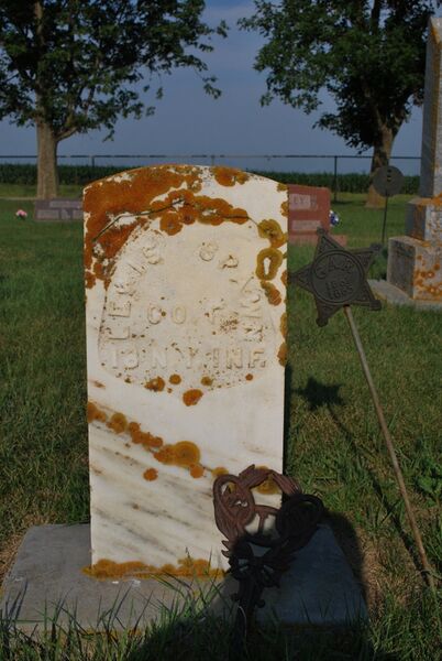 File:SpawnLewisGrave2.jpg