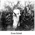 Schell 5.jpg