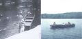The Blue Goose.jpg