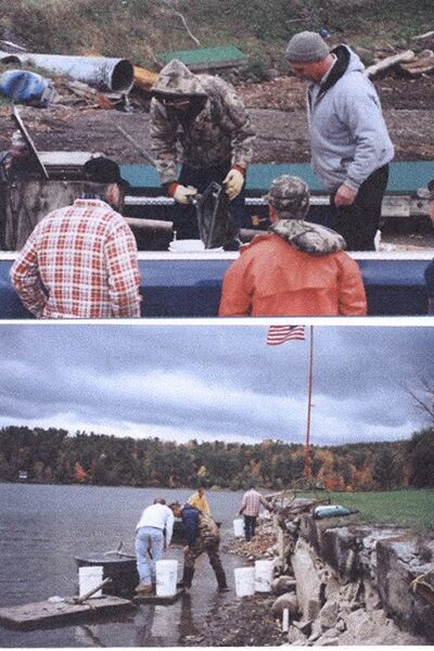 File:Walleye 3.jpg