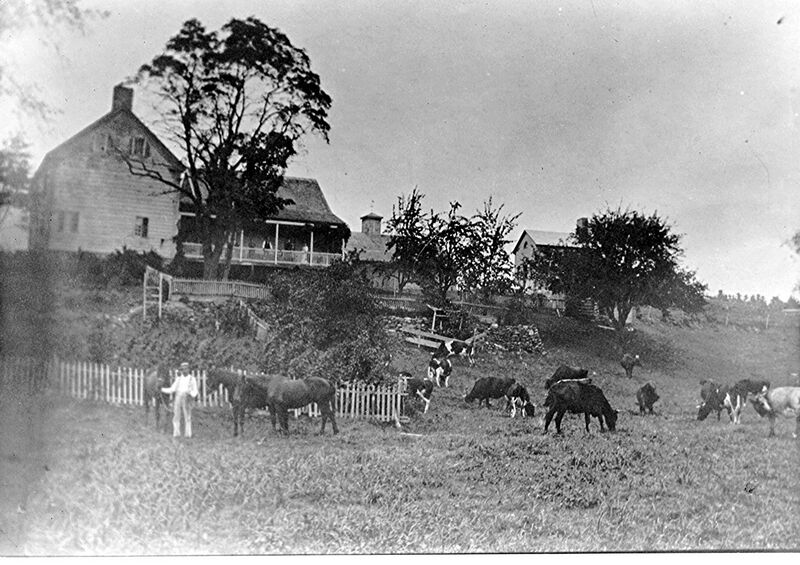 File:Wood Farm.jpg