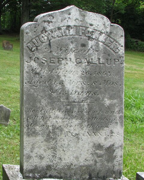 File:Grave-Knox-HP-FowlerLucyAnn.jpg