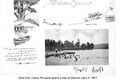 Camp Pinnacle 13.jpg
