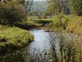Fox Creek.jpg