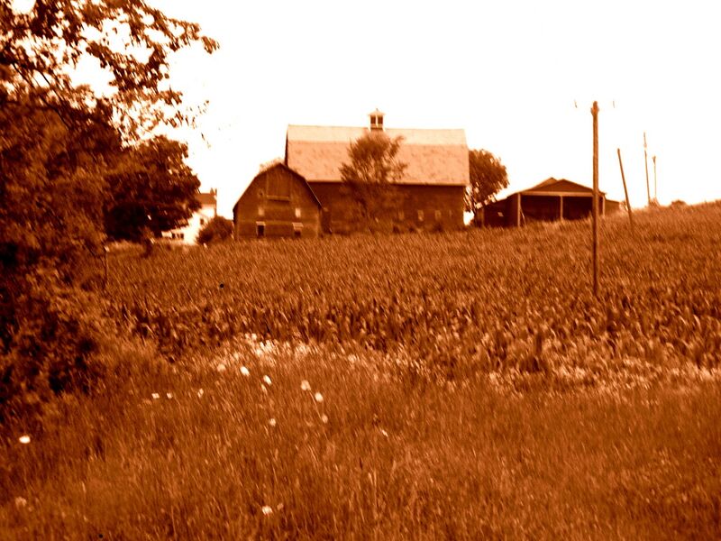 File:Knoxbarnf-1-.jpg