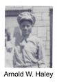 Vet 68.jpg