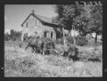 Thumbnail for version as of 19:49, May 13, 2022