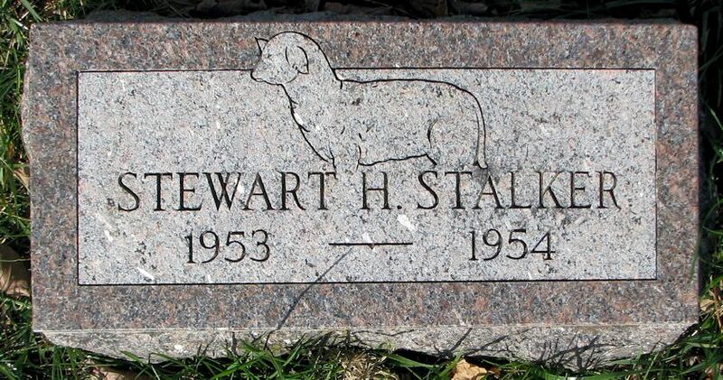File:Grave-Knox-StalkerStewartH.jpg