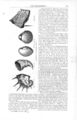 1869HarpersHelderbergs657.jpg