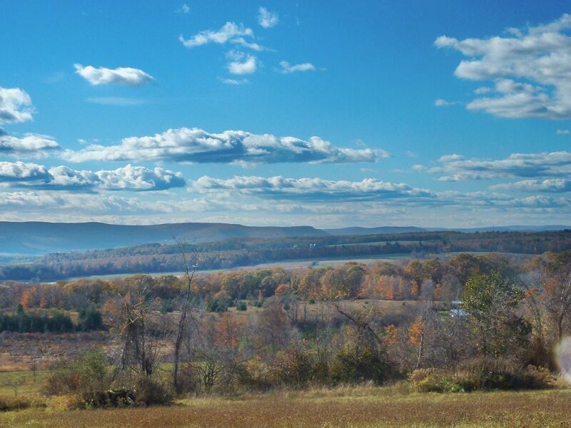 File:Knoxopensky-1-.jpg