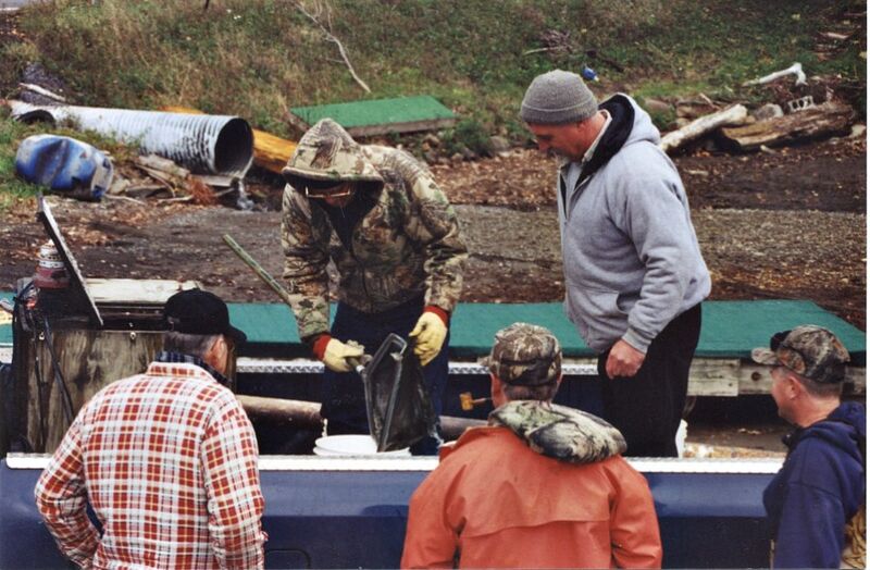 File:Walleye 11.jpg