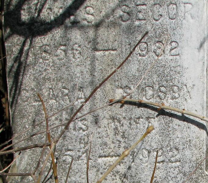 File:Grave-Thompsons Lake-Secor,James.jpg