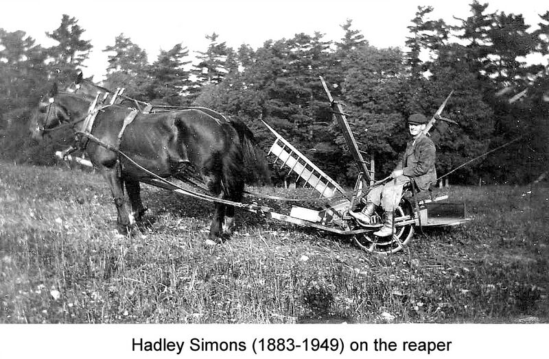 File:Simon's 15.jpg