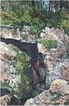 Bear cave.jpg