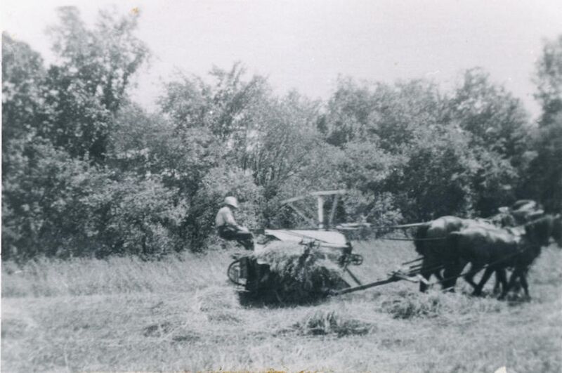 File:KS53BReapingTheHayWEB.jpg