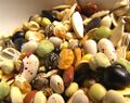 CollectedSeedFarm.jpg