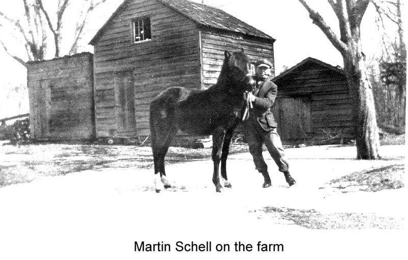 File:Schell 7.jpg