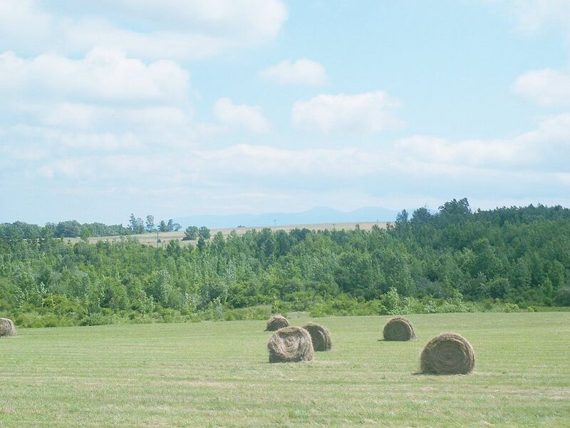 File:Hayfield-1-.jpg