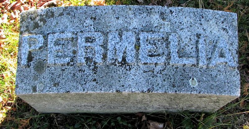 File:Grave-Knox-ArmstrongPermelia2.jpg