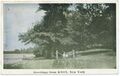 NY-Knox-1923-KnoxGreetings1923No2WEB.jpg