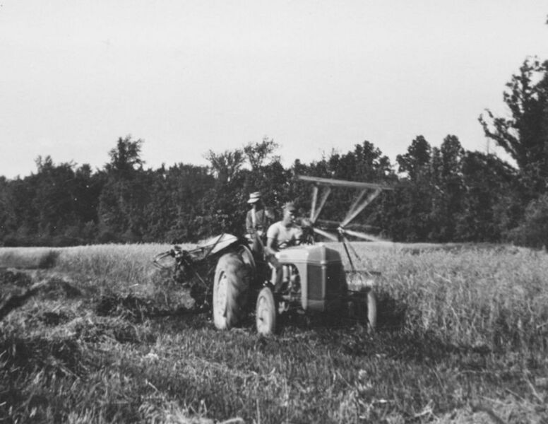 File:ES009LuciusCuttingOats 1942Cropped.jpg
