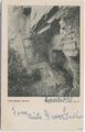 T205TheBearPath1907.jpg