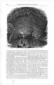 1869HarpersHelderbergs664.jpg