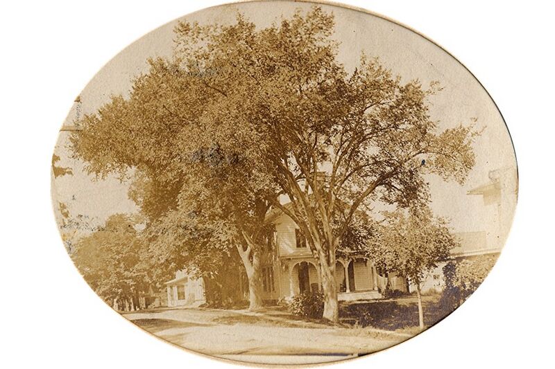 File:James Patten Home.jpg