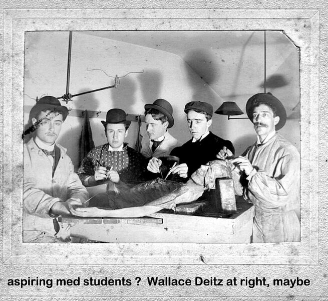 File:Deitzwallacemaybe2.jpg