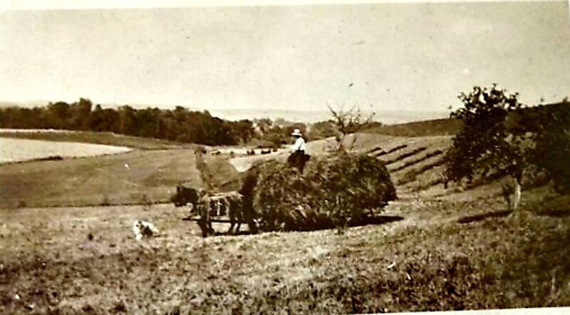 File:Willow Lane Farm.jpg